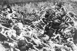 KL Bergen-Belsen - ein Massengrab ermordeter Häftlinge; April 1945 nach der Befreiung des Lagers. (AIPN)
