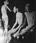 KL Buchenwald – niewolnicy III Rzeszy – wygłodzeni więźniowie; kwiecień 1945 r. po wyzwoleniu obozu. (IPN)