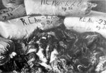 Ein Haufen von Säcken mit Haaren von in KL Auschwitz-Birkenau ermordeten Frauen. Die Haare wurden von den Deutschen verpackt und für den Versand zum industriellen Einsatz vorbereitet; 1945, nach der Befreiung des Lagers. (AIPN)