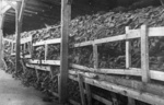 Majdanek (KL Lublin) – ein Haufen von Schuhen in einer der Baracken; Juli 1944, nach der Befreiung des Lagers. (AIPN)