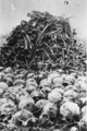 Majdanek (KL Lublin) - Schädel und Knochen der Opfer, die während der Exhumierung ausgegraben wurden; Herbst 1944 (AIPN)