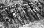 Majdanek (KL Lublin) – ausgegrabene Leichen von Häftlingen; August 1944 (AIPN)