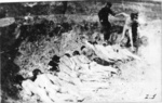 Massenhinrichtung in Stutthof. (AIPN)