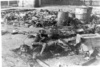 Übergangslager Żabikowo b. Poznan – Körper der von den Deutschen erschossenen und verbrannten Gefangenen während der Evakuierung des Lagers; Januar 1945, nach der Befreiung des Lagers. (AIPN)