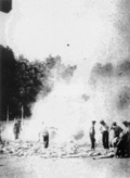 Verbrennung der Leichen von Juden in Auschwitz-Birkenau. Das Foto wurde heimlich von einem der Mitglieder der jüdischen Sonderkommandos 1944 gemacht (AIPN)